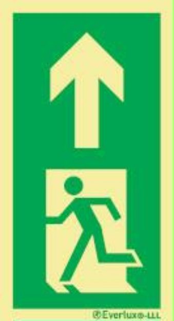 Low location lighting, floor marking Evacuation ro